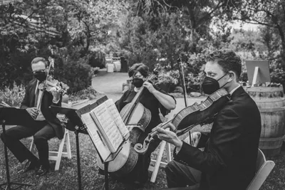 Elevating Your Wedding Ambience: Signature Musical Themes to Enchant Your GuestsIllustration